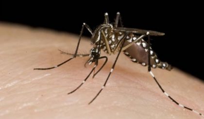 Confirman más de 50 casos de dengue en la Comuna 10 y piden extremar las medidas de prevención