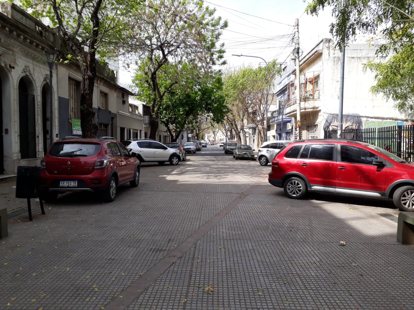 ¿Alguien pidió la “Calle Verde” de Yerbal? | Se conocieron los resultados de la encuesta que realizó el gobierno de la Ciudad