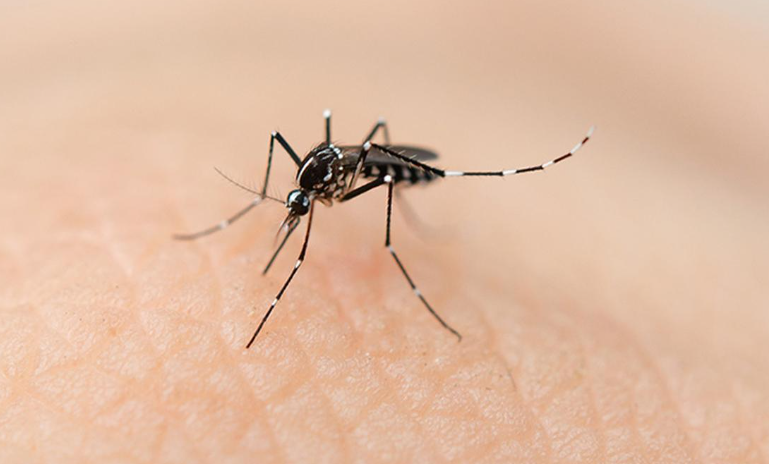 En la última semana se triplicaron los casos de dengue en la Comuna 10