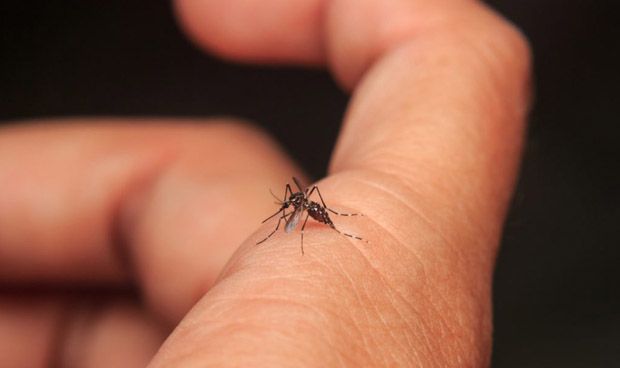 Más de 1000 casos de dengue confirmados en la Comuna 10