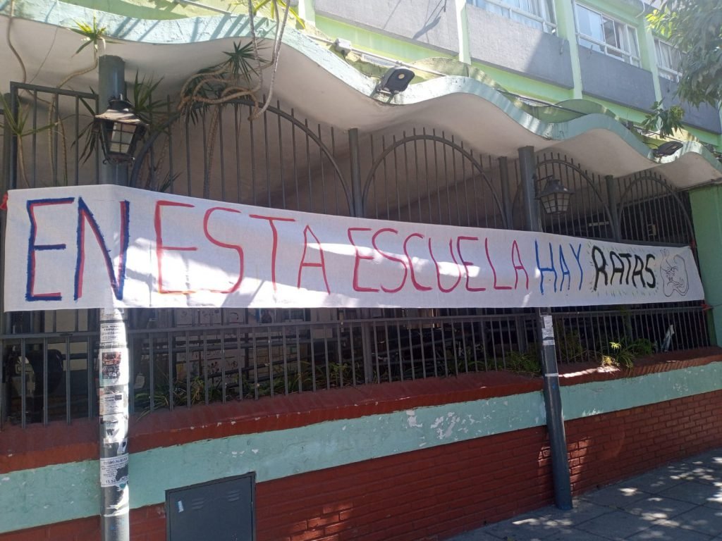 » Denuncian la presencia de ratas en dos escuelas de la Comuna 10
