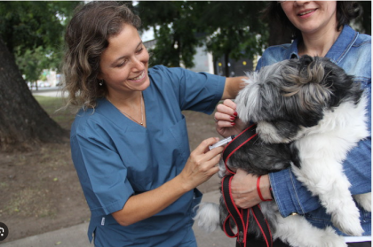 Mascotas: vacunación antirrábica gratuita en Floresta
