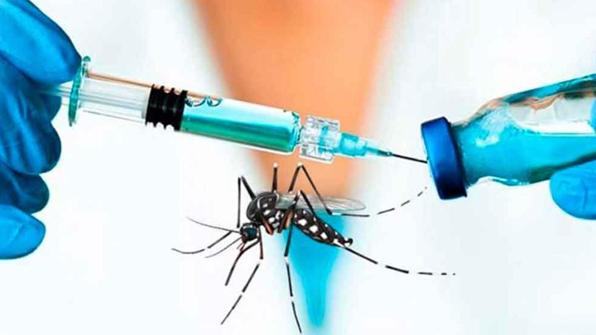 Ciudad: Proponen la vacunación gratuita contra el dengue y la entrega de repelentes
