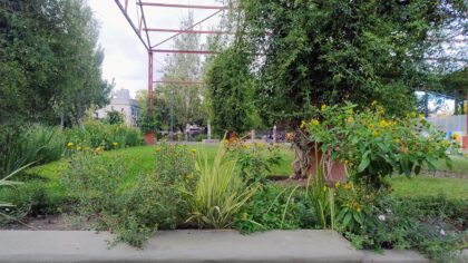 El mariposario de Floresta cumple un año y lo celebra con el barrio