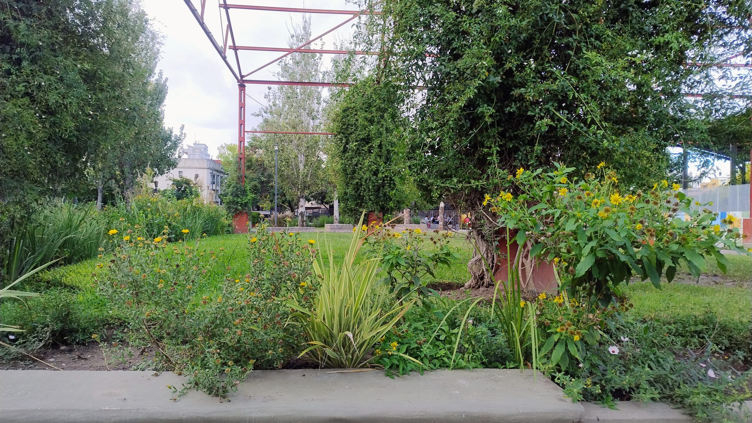 El mariposario de Floresta cumple un año y lo celebra con el barrio