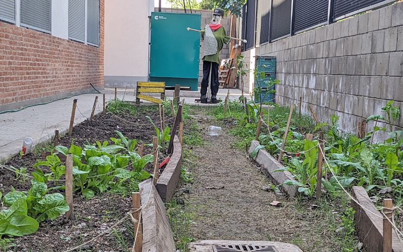 Construir memoria a partir de los espacios verdes de Villa Luro | El CeSAC 23 y una propuesta fotográfica