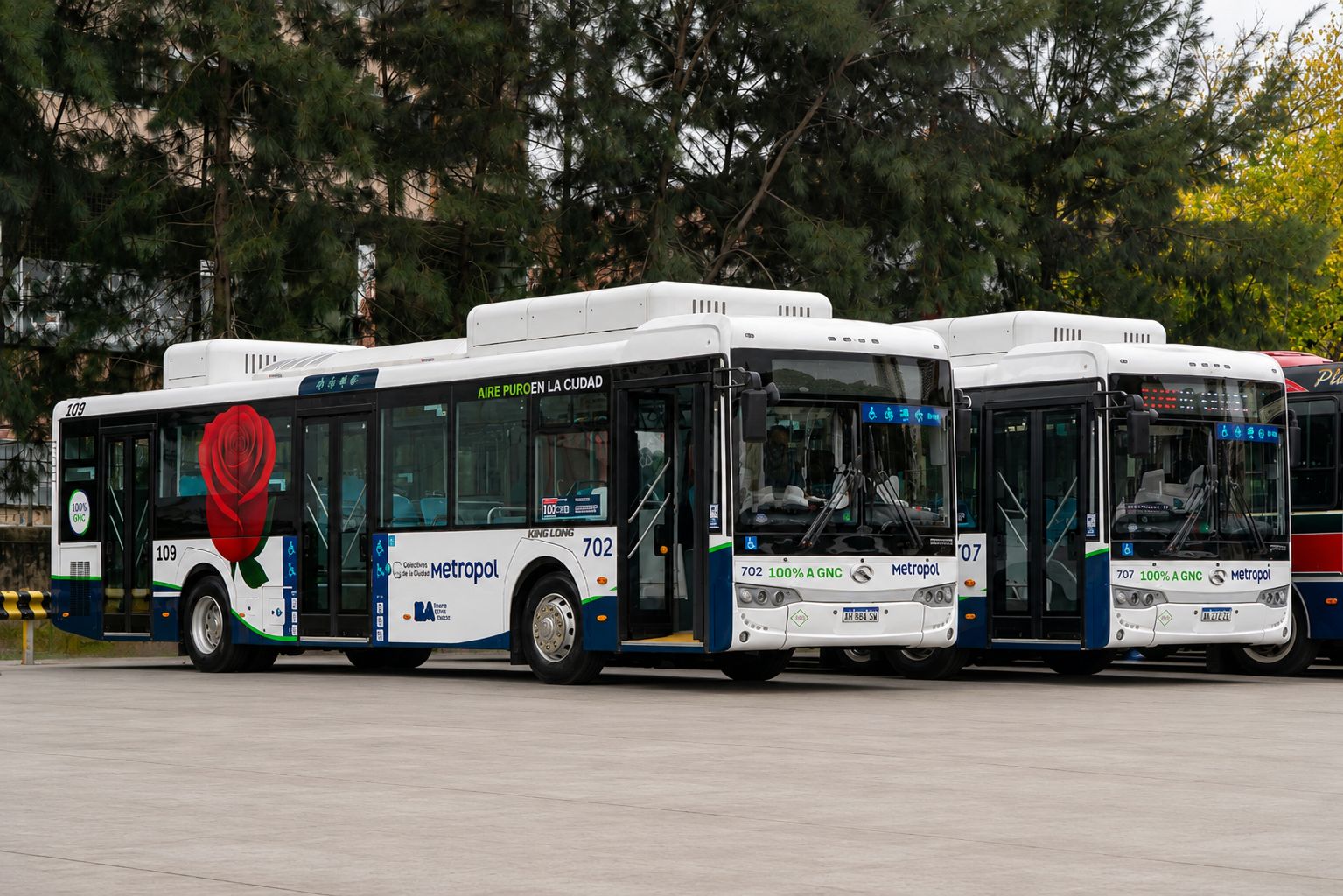 Vuelve la línea 109, con nuevo color y colectivos ecológicos | Un transporte clave para el oeste porteño