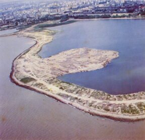 La historia detrás de la Reserva Ecológica Costanera Sur: 40 años de lucha por preservar la naturaleza