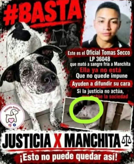 “Justicia por Manchita” | Vecinos exigen explicaciones por la muerte de la perra en la Comisaría Vecinal 10